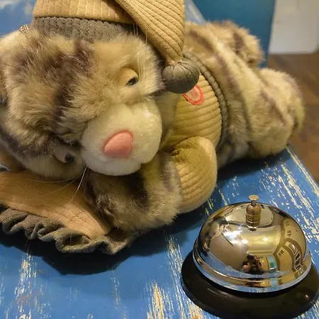Cat And Co. Hostel *